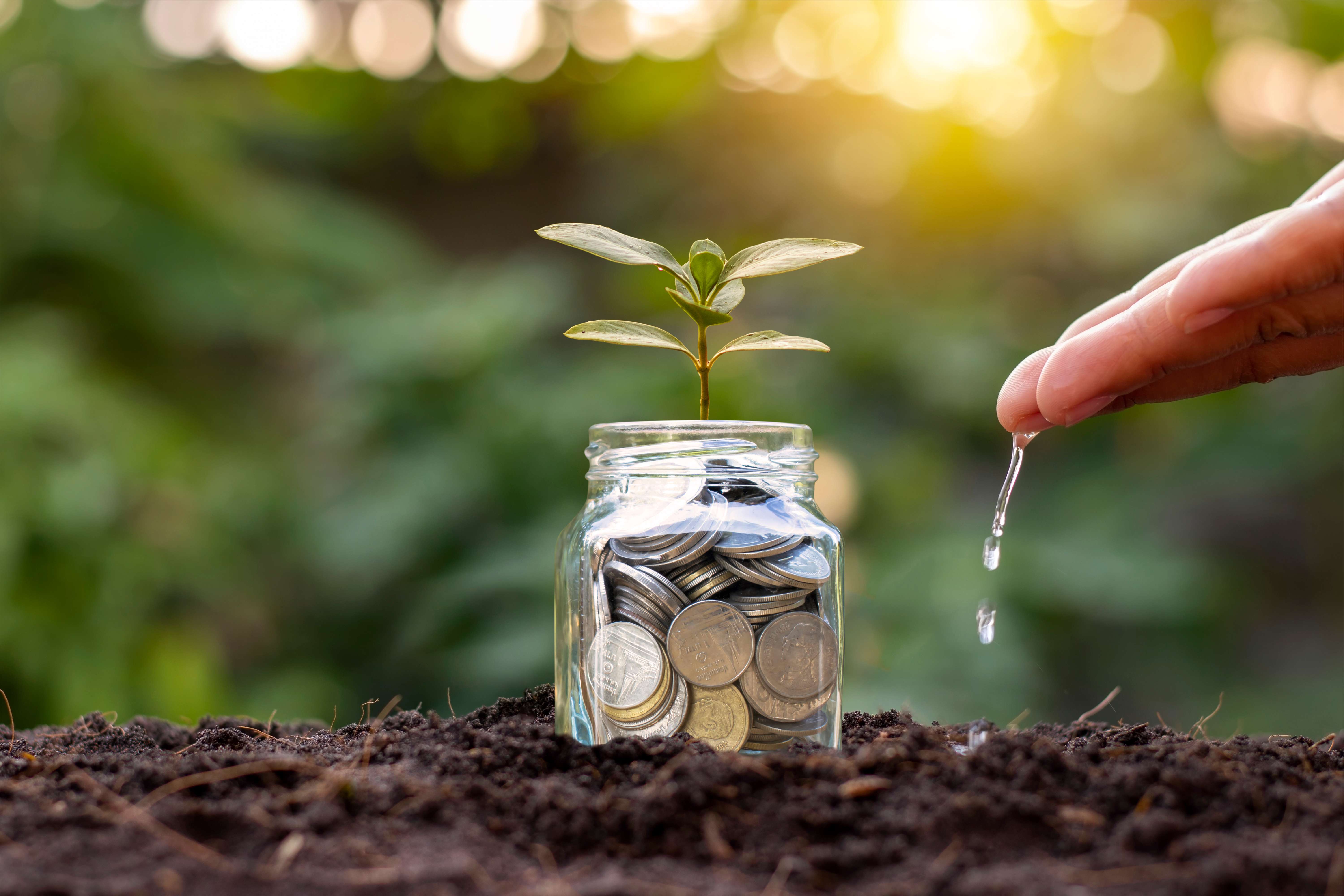Affordable Student Life in the UK: Save Money Without Missing Out